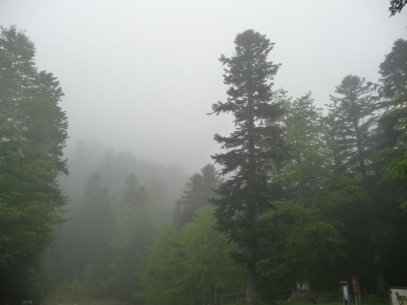 Départ vendredi matin dans le brouillard